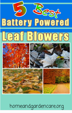 Battery Powered Leaf Blower