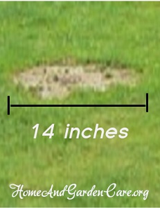 Measuring area of bare patch of lawn
