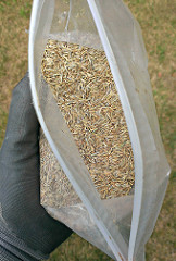 bag of grass seed for sowing
